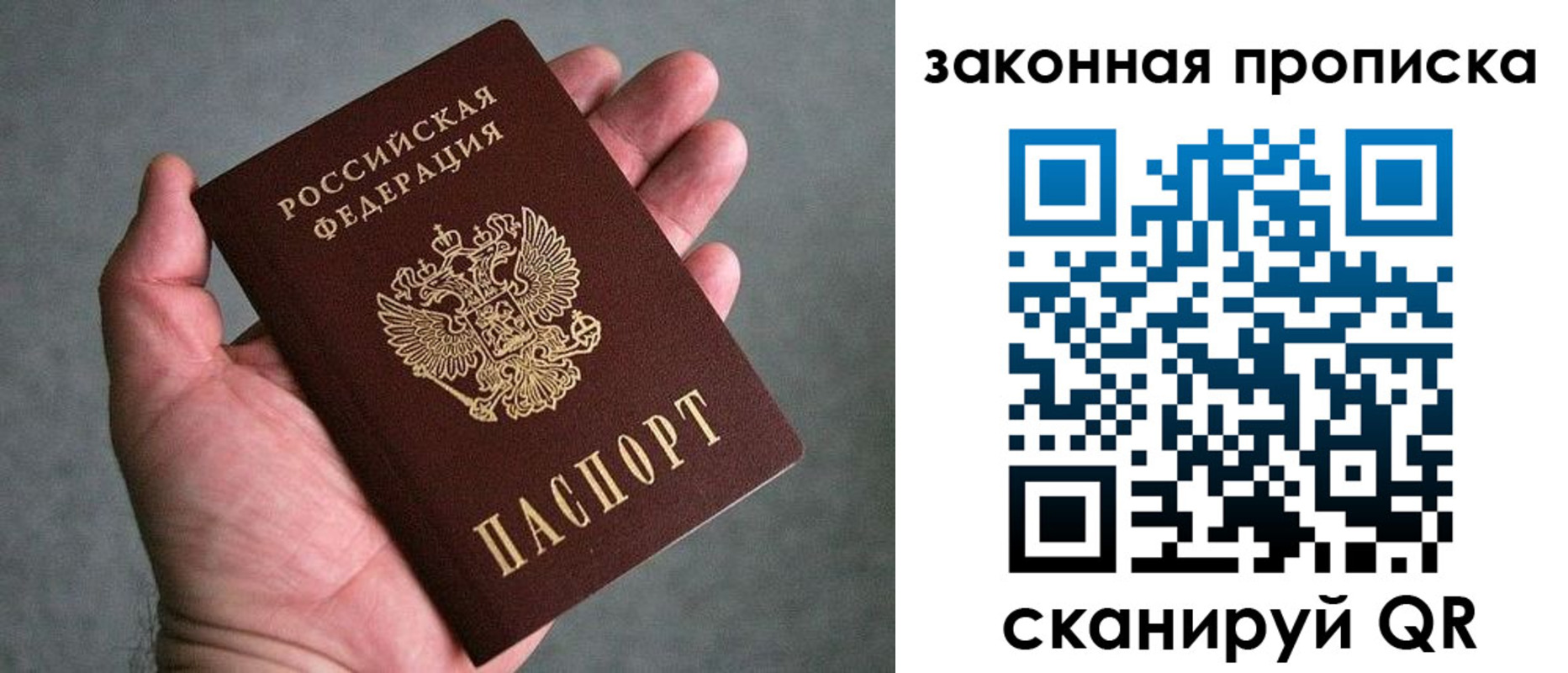 прописка в квартире в Палласовке
