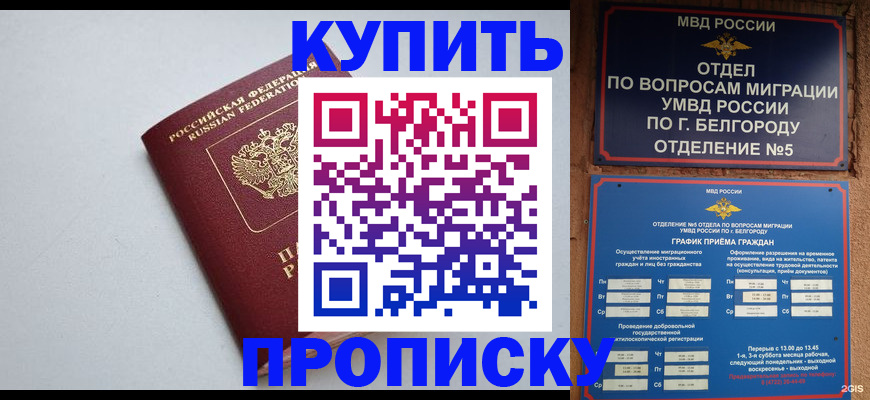 прописка регистрация в Палласовке